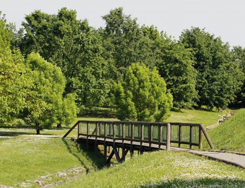 Rilievo del verde del Comune di Forlì (FC)