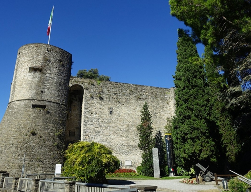 Rilievo del verde della Città di Bergamo